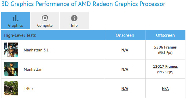 radeon-r9-fury-x-fiji-leaked-opencl