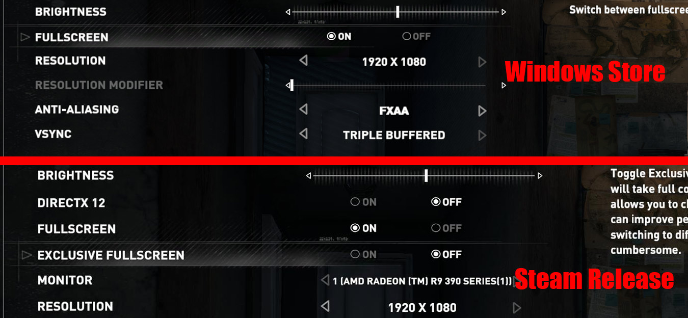 Rise of the Tomb Raider - Windows Store vs Steam options